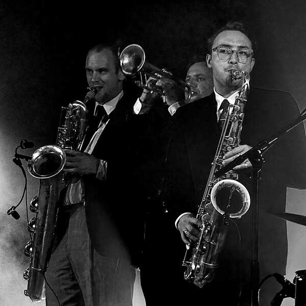 Un singe en été 2019 - Mayenne